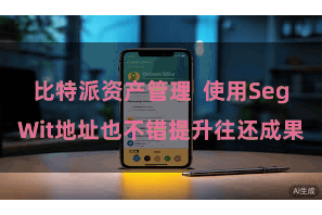 比特派资产管理  使用SegWit地址也不错提升往还成果