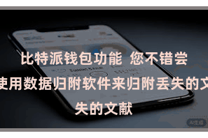 比特派钱包功能 您不错尝试使用数据归附软件来归附丢失的文献