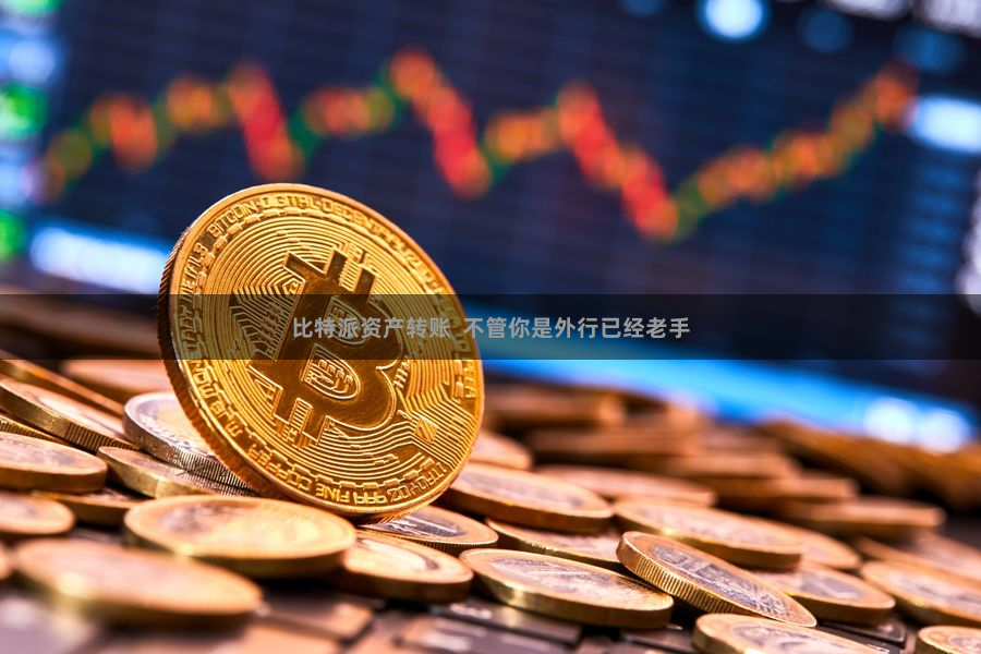 比特派资产转账  不管你是外行已经老手