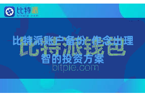 比特派账户备份 作念出理智的投资方案
