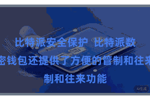 比特派安全保护  比特派数字加密钱包还提供了方便的管制和往来功能